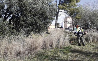 Bosquet urbà a Vilanova amb caixes niu, plantes autòctones i un hotel d’insectes