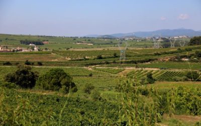 SOS Penedès rebutja la “colonització metropolitana” i reclama que el Pla Territorial preservi el paisatge