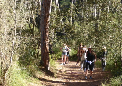 bany de bosc amb NURIA VIDAL