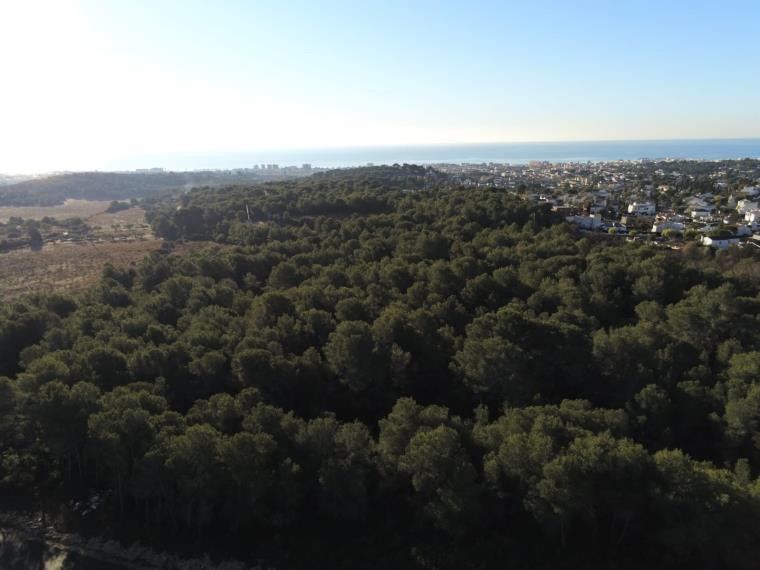 Ecologistes de Cunit convoquen una manifestació per aturar la urbanització d’un bosc autòcton de 91.000 m2