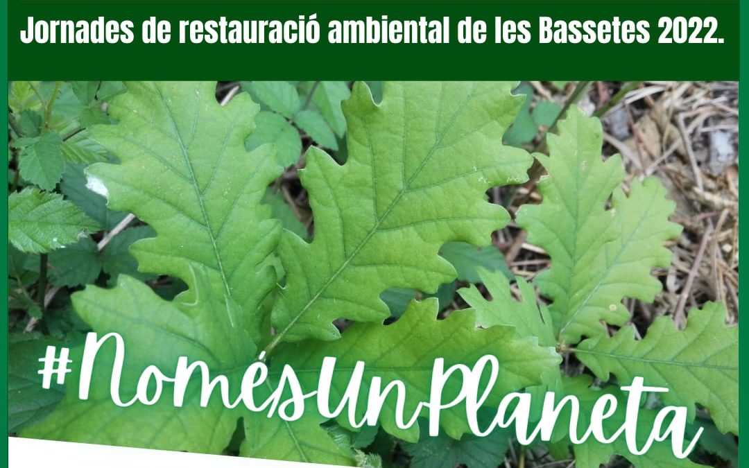 Jornada de restauració ambiental de les Bassetes