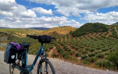 Cròniques d’un viatge en bicicleta d’Albacete a Ronda (per les províncies de la Manxa, Jaén, Còrdova, Sevilla, Cadis i Màlaga)